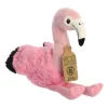 Hot aurora , flamingo 24cm