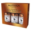 Clearance bottega Bacûr Gin Miniature Set 40% 3x0.05L