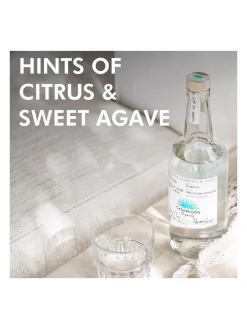 Online casamigos Casamigo Blanco Tequila 40% 1L