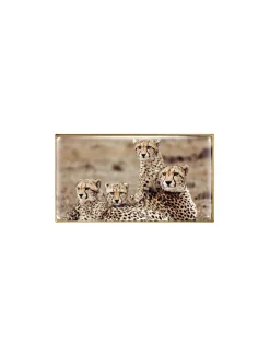 Fashion chantecaille Cheetah Collection Make Up Trio