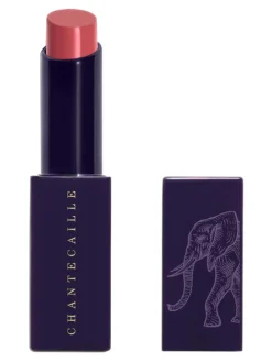 Best chantecaille Lip Veil Lipstick Baobab