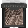 Outlet chantecaille Luminescent Eye Shadow Elephant