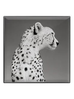 Sale chantecaille Luminescent Eye Shadow Cheetah