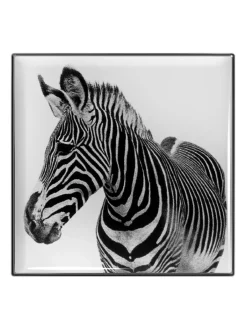Sale chantecaille Luminescent Eye Shadow Zebra