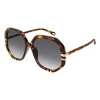 Online chloe Chloé, Full Rim, women's sunglasses