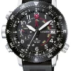 New citizen , Promaster, men's watch