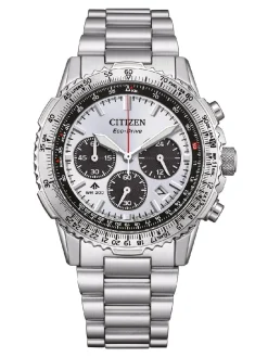 Hot citizen , Promaster, men's watch