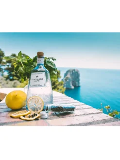 Sale gin-mare Gin Mare Capri 42.7% 1L