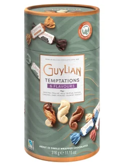 Best guylian 's Temptations Mix x 316g Tube
