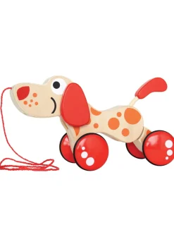 Sale hape , dog