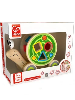 Outlet hape , snail