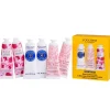 Hot loccitane-en-provence L'Occitane en Provence Best of Provence Collection of 6 Handcream Set