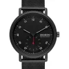 Best skagen , Kuppel, men's watch