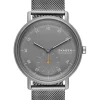 Online skagen , Kuppel, men's watch