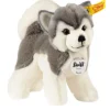 Hot steiff , Bernie Husky, grey/white, 17 cm