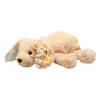 Hot steiff , floppy lumpi dog, light brown